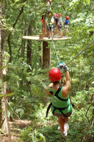 Vuela por la selva